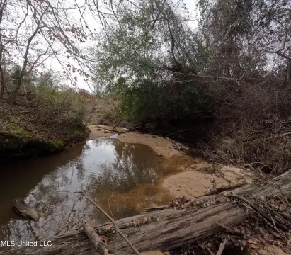 255 Acres Hunting & Recreation