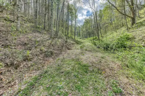 Mountain City Wooded Retreat Land