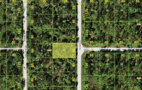 Residential Home Lot in Port Charlotte