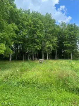Agricultural Land Parcel
