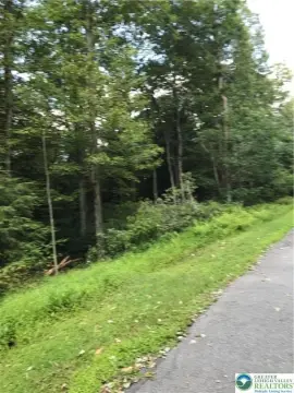 Wooded Land in Penn Forest