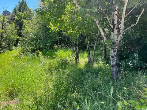 Wooded Single-Family Lot in Gated Community