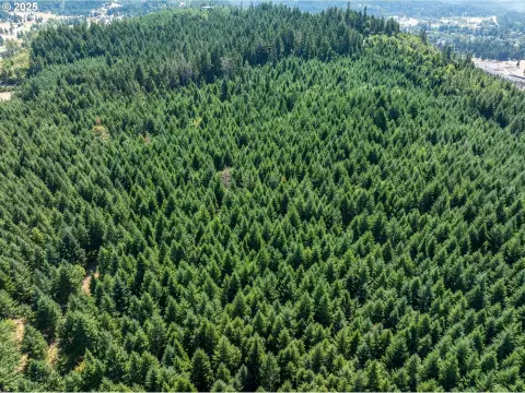 Oakridge Land: Multi-Use Opportunity