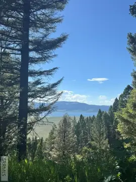Hillside Land with Multiple Homesites