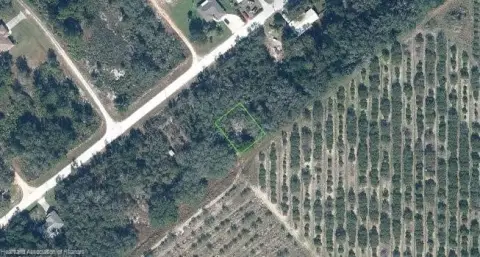 Vacant Land in Avon Park