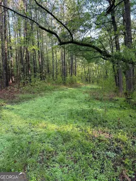 Land in Locust Grove, GA