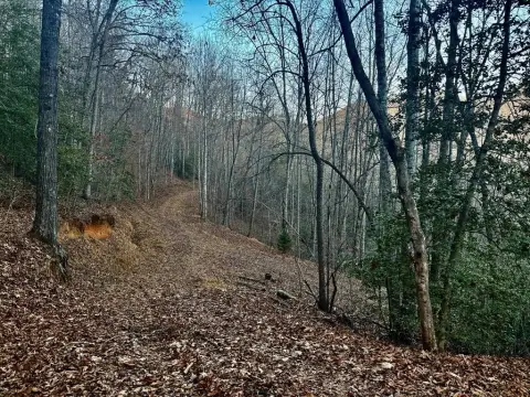 Unrestricted Wooded Acreage in Franklin, NC