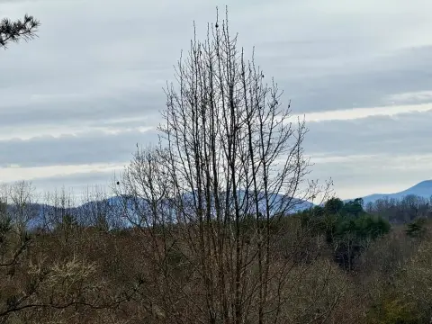 Build-Ready Mountain Home Lot