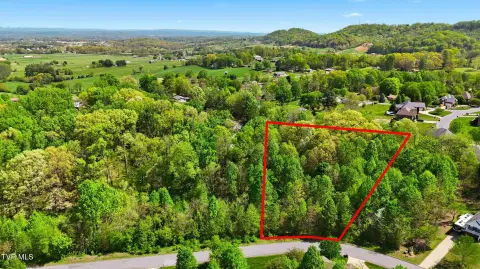 Wooded Lots in Holland Estates