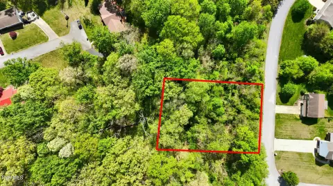 Wooded Lot in Holland Estates