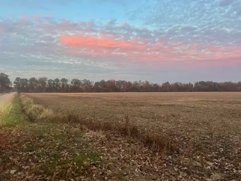 40 Acres Farmland in Bloomfield