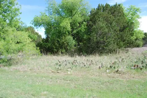 Waterfront Resort Lot