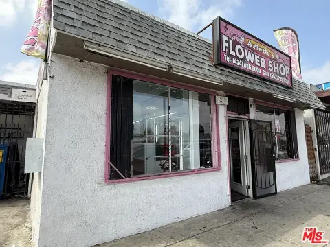 Mixed-Use Four-Unit Property