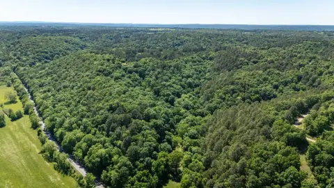 Highway Frontage Hunting Land