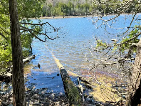 Waterfront Land on Black River