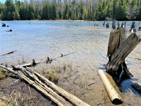 Waterfront Land on Black River