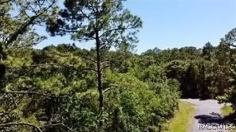Residential Land in Homosassa, FL