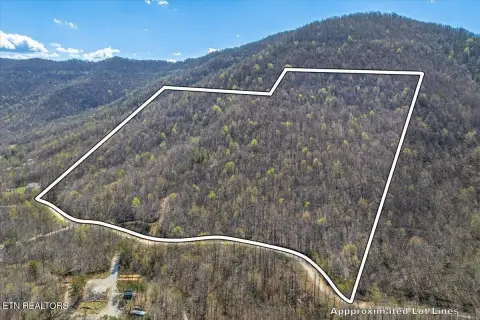 Recreation Land with Logging Roads