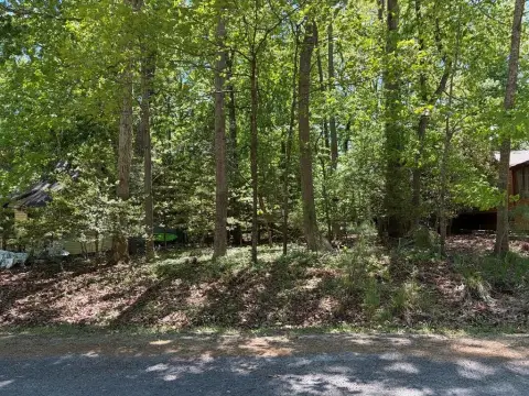 Wooded Lot in Captain's Cove