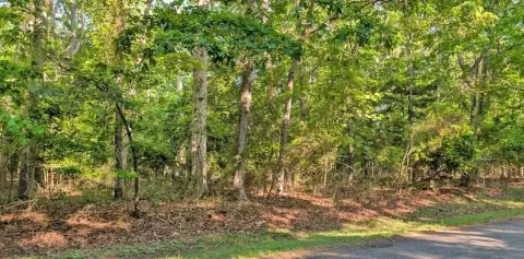Residential Lot in Captain's Cove