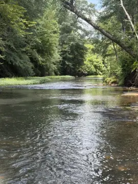 Waterfront Wooded Land Parcel