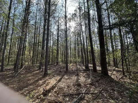 33-Acre Land Tract