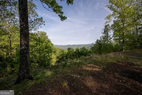 Marble, NC Homesite Opportunity