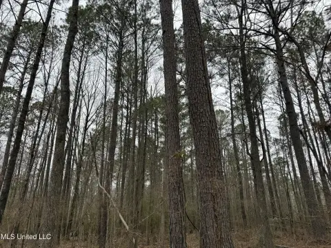 Pearl, MS Land For Sale