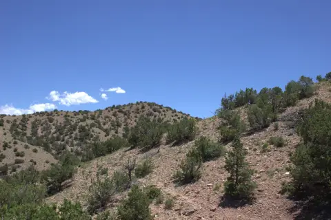 Land with Views in Placitas