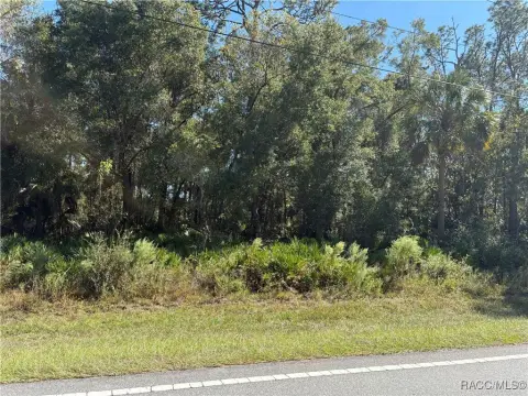 Crystal River Land Opportunity