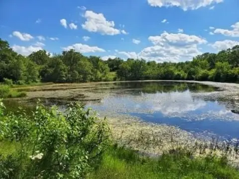 160 Acres in Elmore City