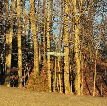 Wooded Lot in Young Harris