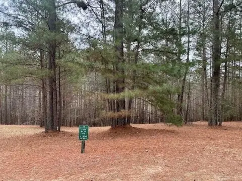 Blairsville Vacant Lot For Sale