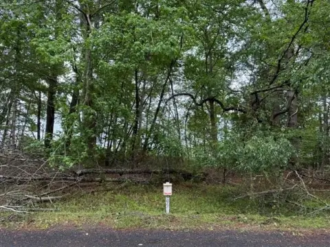 Wooded Lot with Bay Views
