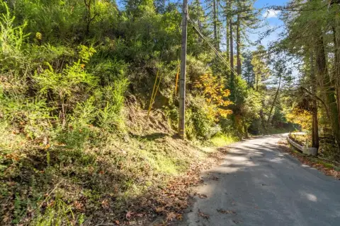 Land in Felton's Heart