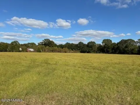 Cleared Land Near Opelousas