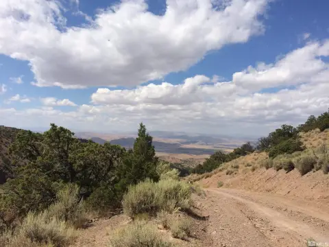 Land Parcel with Junipers