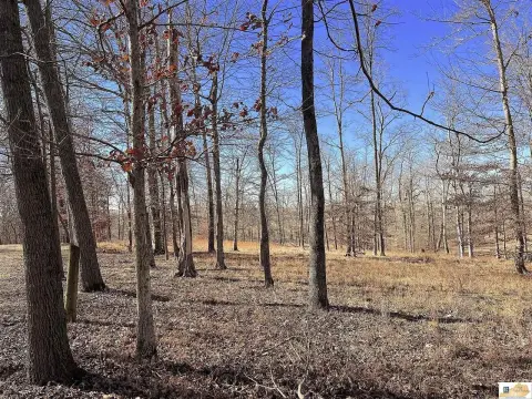Secluded Acreage Near Columbia, KY