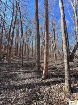 53.44 Acres of Hunting Land