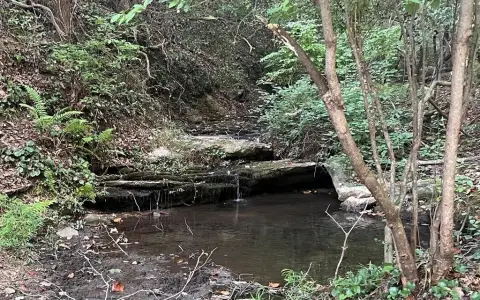 Jasper Acreage with Creek