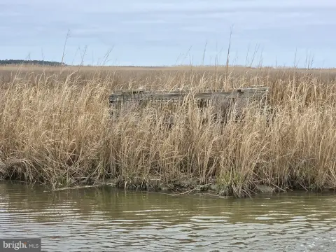 75 Acres Hunting Land, Crapo