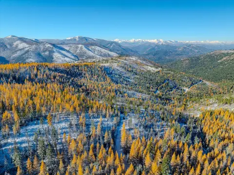 640 Acres of Recreational Land