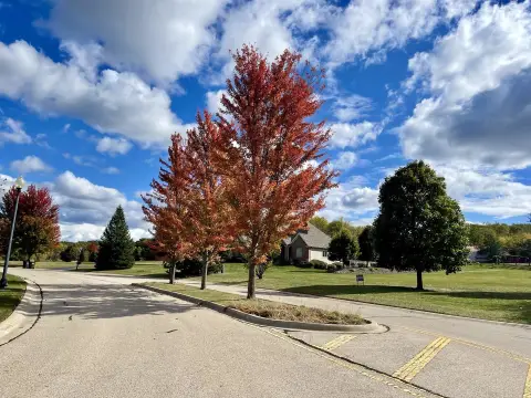 Acre Lot in Red Oak Estates