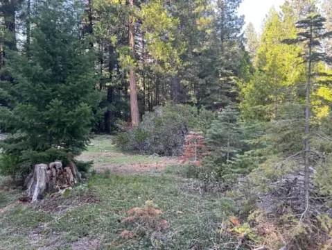 Shingletown Homesite Near Lassen Park