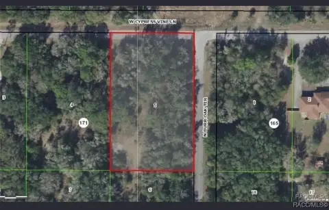 Crystal River Land For Sale