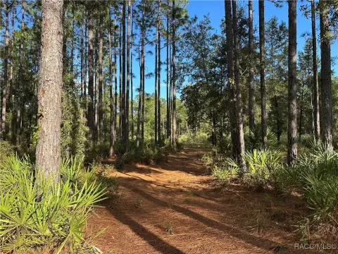 Beverly Hills Land Ready to Build