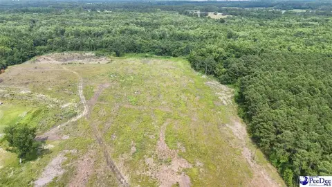 Hunting Land with Hardwood Cover