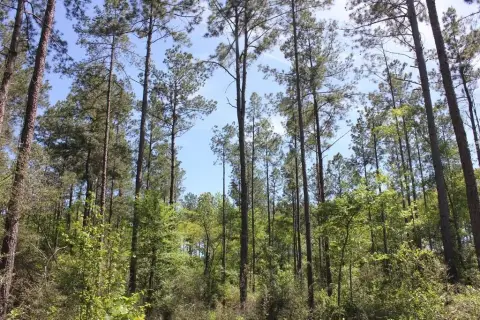 Lufkin, TX Acreage For Sale