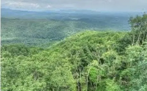 East Ellijay Vacant Lot