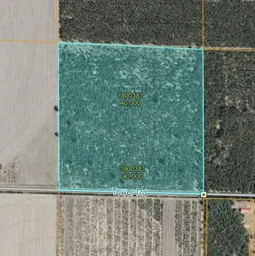 Wooded Acreage Near Wisconsin Rapids